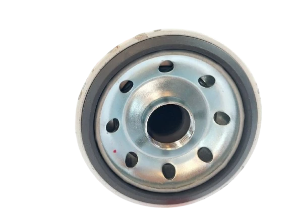 FS1006