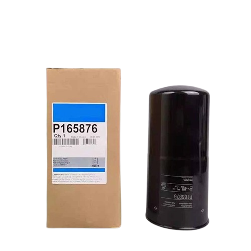 P165876